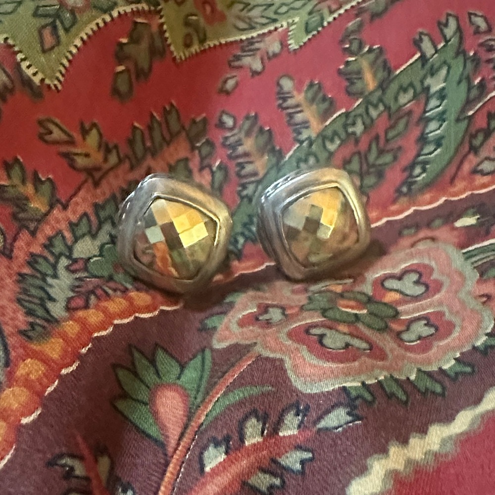 Elegant Silver and Gold-Toned Earrings